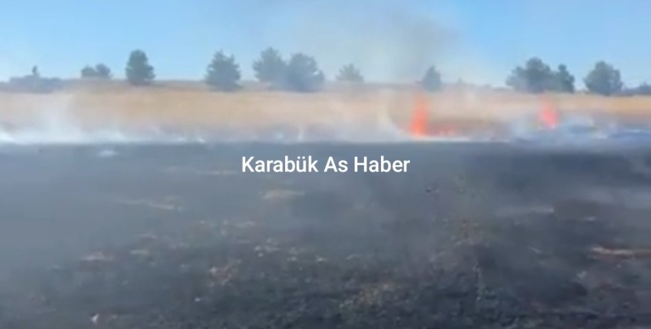Eskipazar'da Anız Yangını 